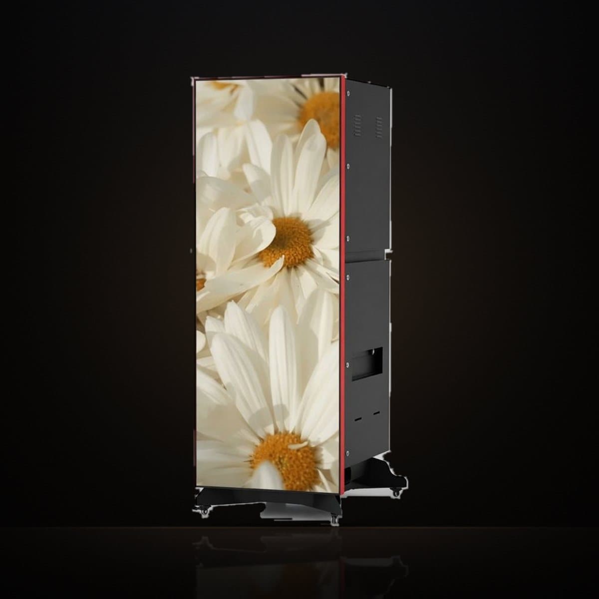 Portrait LED poster display showing white daisies